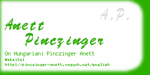 anett pinczinger business card